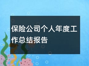 保險公司個人年度工作總結(jié)報告