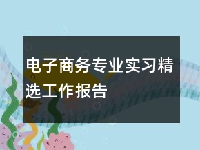 電子商務(wù)專業(yè)實(shí)習(xí)精選工作報(bào)告
