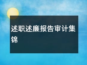 述職述廉報告審計集錦