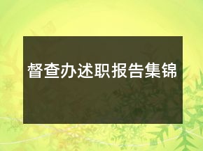 督查辦述職報(bào)告集錦