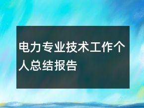 電力專業(yè)技術工作個人總結報告