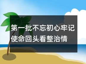 第一批不忘初心牢記使命回頭看整治情況報(bào)告