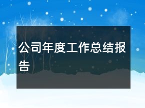 公司年度工作總結(jié)報告