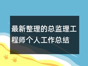 最新整理的總監(jiān)理工程師個人工作總結(jié)范文