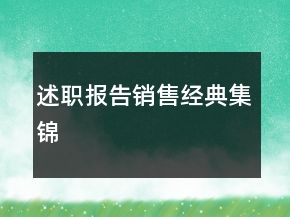 述職報(bào)告銷售經(jīng)典集錦