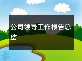 公司領(lǐng)導(dǎo)工作報告總結(jié)