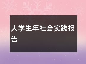 大學(xué)生年社會實踐報告