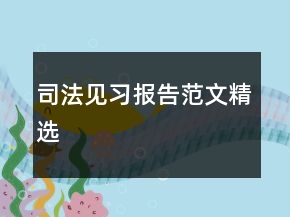 司法見習(xí)報告范文精選