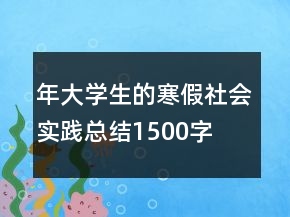年大學(xué)生的寒假社會(huì)實(shí)踐總結(jié)1500字