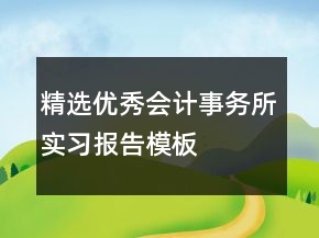 精選優(yōu)秀會計事務所實習報告模板