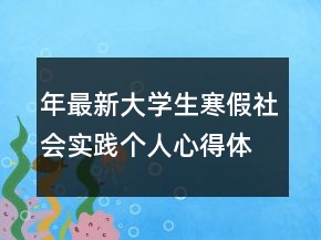 年最新大學生寒假社會實踐個人心得體會