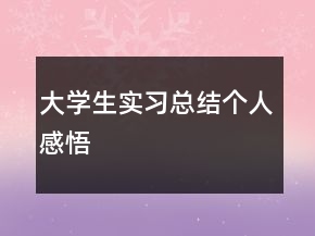 大學(xué)生實習(xí)總結(jié)個人感悟