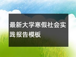 最新大學(xué)寒假社會(huì)實(shí)踐報(bào)告模板