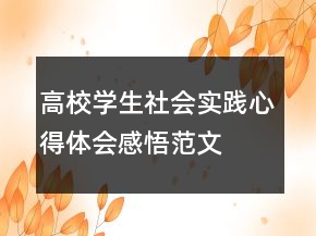 高校學(xué)生社會實踐心得體會感悟范文