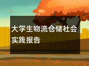 大學生物流倉儲社會實踐報告