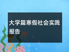 大學(xué)篇寒假社會(huì)實(shí)踐報(bào)告