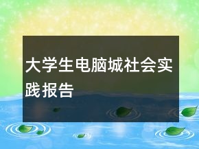 大學(xué)生電腦城社會實(shí)踐報告
