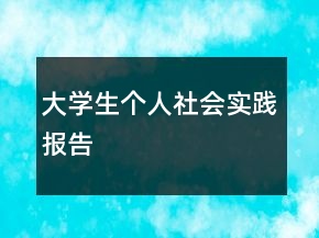 大學(xué)生個人社會實(shí)踐報告