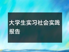 大學(xué)生實習(xí)社會實踐報告