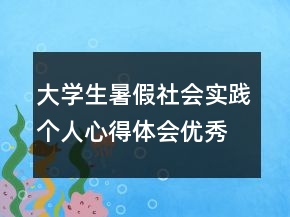 大學(xué)生暑假社會實踐個人心得體會優(yōu)秀范文年