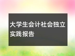 大學(xué)生會計社會獨立實踐報告