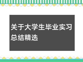 關(guān)于大學生畢業(yè)實習總結(jié)精選