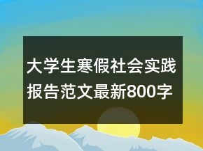 大學(xué)生寒假社會(huì)實(shí)踐報(bào)告范文最新800字