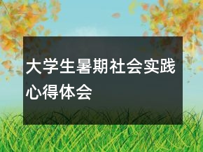 大學生暑期社會實踐心得體會