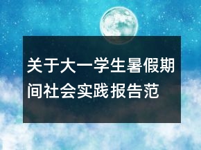 關于大一學生暑假期間社會實踐報告范文大全