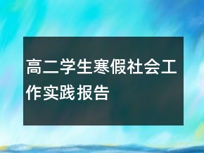 高二學(xué)生寒假社會(huì)工作實(shí)踐報(bào)告