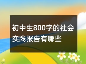 初中生800字的社會實踐報告有哪些