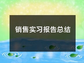 銷售實(shí)習(xí)報(bào)告總結(jié)