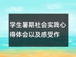 學(xué)生暑期社會實踐心得體會以及感受作文