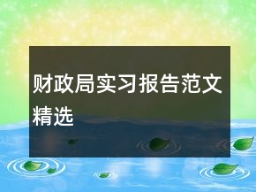 財政局實習報告范文精選