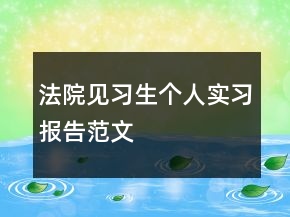 法院見習(xí)生個(gè)人實(shí)習(xí)報(bào)告范文