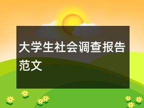 大學(xué)生社會調(diào)查報告范文