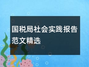 國稅局社會實踐報告范文精選
