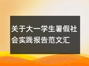 關(guān)于大一學(xué)生暑假社會(huì)實(shí)踐報(bào)告范文匯總