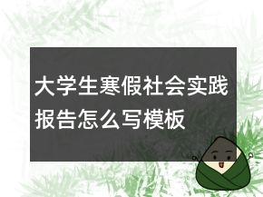 大學(xué)生寒假社會實踐報告怎么寫模板