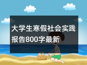 大學(xué)生寒假社會實(shí)踐報(bào)告800字最新