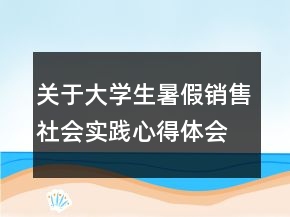 關(guān)于大學生暑假銷售社會實踐心得體會