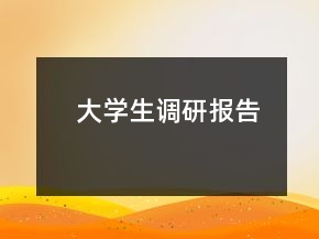 大學(xué)生調(diào)研報告