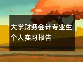 大學(xué)財務(wù)會計專業(yè)生個人實習(xí)報告