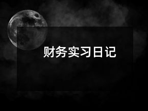 財務實習日記