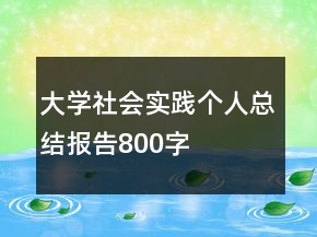 大學(xué)社會(huì)實(shí)踐個(gè)人總結(jié)報(bào)告800字