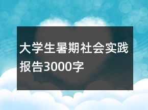 大學生暑期社會實踐報告3000字