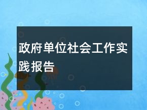 政府單位社會工作實踐報告