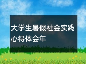 大學(xué)生暑假社會實踐心得體會年