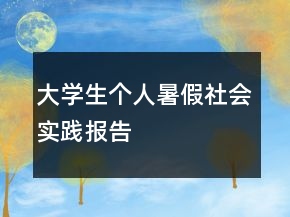 大學(xué)生個人暑假社會實踐報告