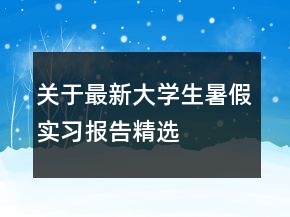 關(guān)于最新大學(xué)生暑假實(shí)習(xí)報(bào)告精選